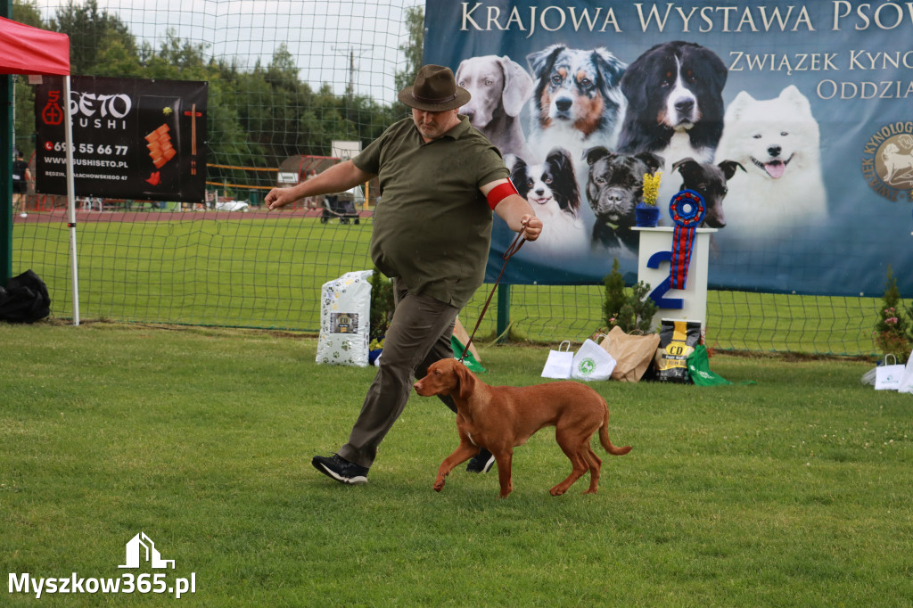 Fotorelacja II: Krajowa Wystawa Psów Rasowych w Gniazdowie Gmina Koziegłowy