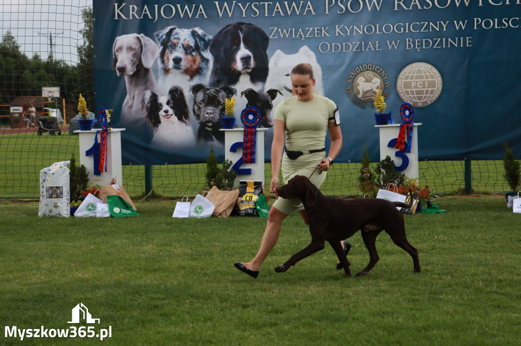 Fotorelacja II: Krajowa Wystawa Psów Rasowych w Gniazdowie Gmina Koziegłowy