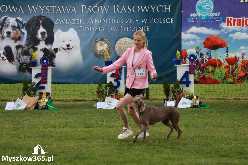 Fotorelacja II: Krajowa Wystawa Psów Rasowych w Gniazdowie Gmina Koziegłowy