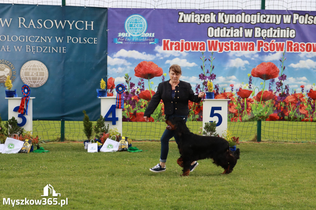 Fotorelacja II: Krajowa Wystawa Psów Rasowych w Gniazdowie Gmina Koziegłowy