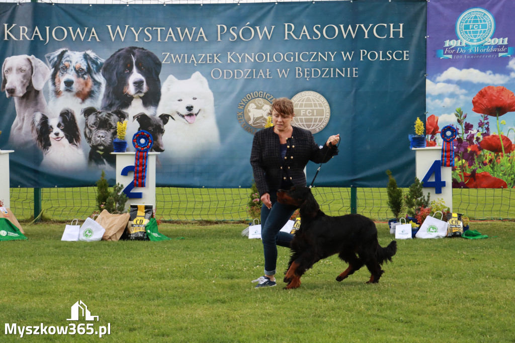 Fotorelacja II: Krajowa Wystawa Psów Rasowych w Gniazdowie Gmina Koziegłowy
