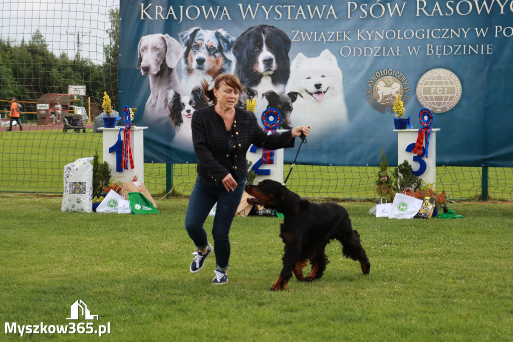 Fotorelacja II: Krajowa Wystawa Psów Rasowych w Gniazdowie Gmina Koziegłowy