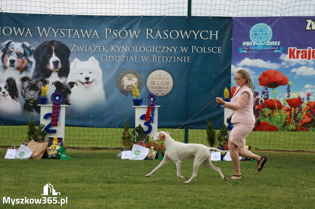 Fotorelacja II: Krajowa Wystawa Psów Rasowych w Gniazdowie Gmina Koziegłowy