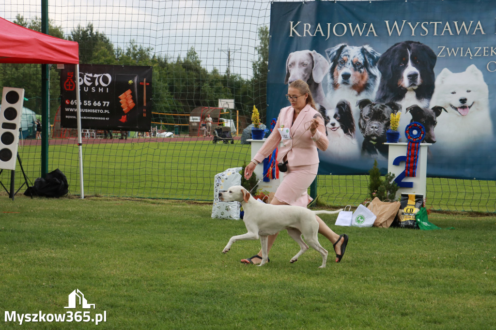 Fotorelacja II: Krajowa Wystawa Psów Rasowych w Gniazdowie Gmina Koziegłowy