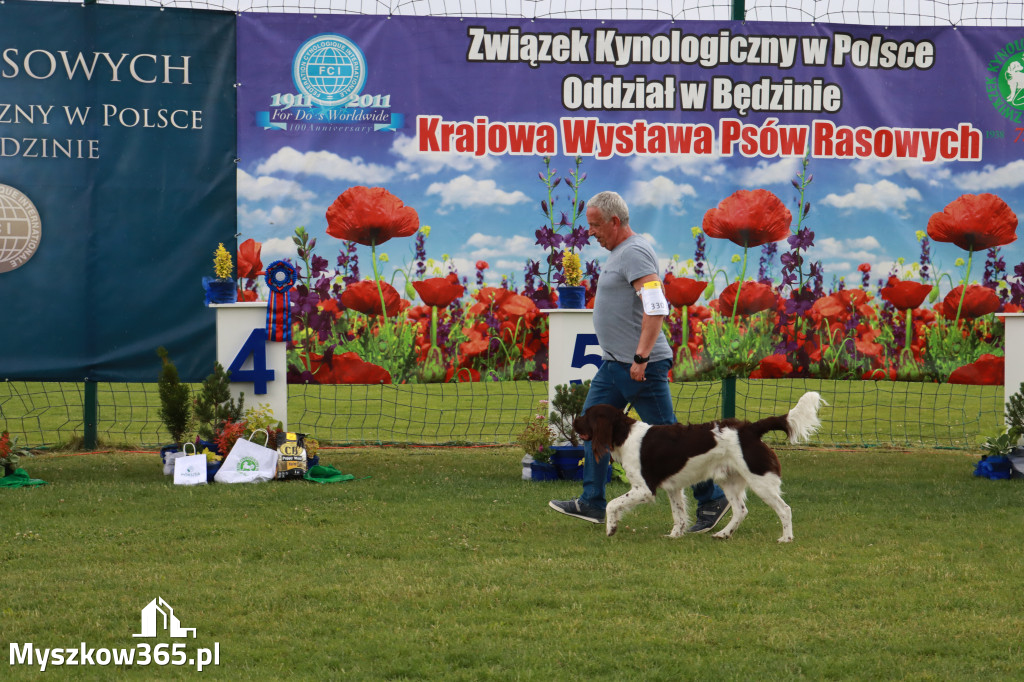 Fotorelacja II: Krajowa Wystawa Psów Rasowych w Gniazdowie Gmina Koziegłowy