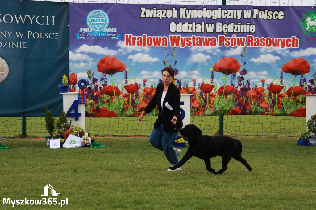 Fotorelacja II: Krajowa Wystawa Psów Rasowych w Gniazdowie Gmina Koziegłowy