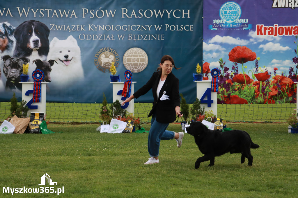 Fotorelacja II: Krajowa Wystawa Psów Rasowych w Gniazdowie Gmina Koziegłowy