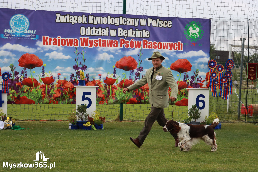 Fotorelacja II: Krajowa Wystawa Psów Rasowych w Gniazdowie Gmina Koziegłowy