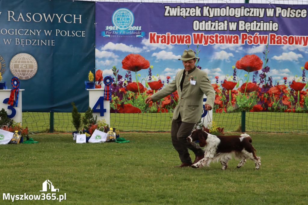 Fotorelacja II: Krajowa Wystawa Psów Rasowych w Gniazdowie Gmina Koziegłowy