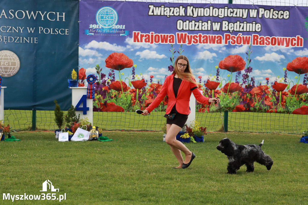 Fotorelacja II: Krajowa Wystawa Psów Rasowych w Gniazdowie Gmina Koziegłowy