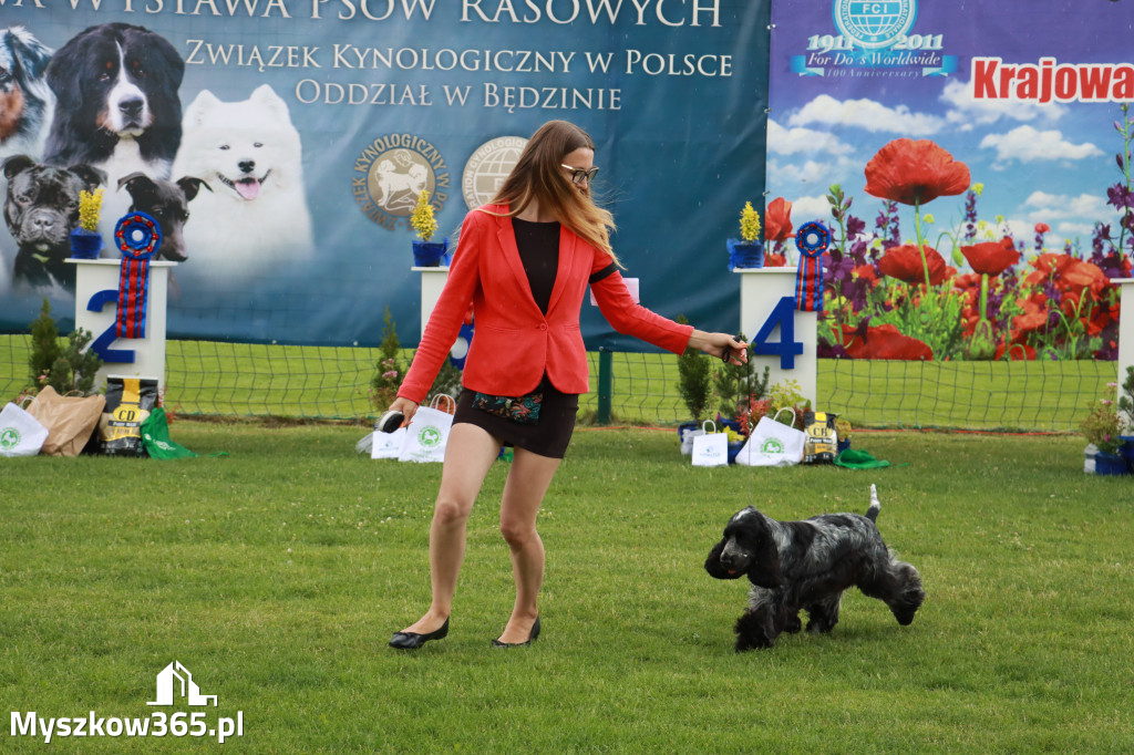 Fotorelacja II: Krajowa Wystawa Psów Rasowych w Gniazdowie Gmina Koziegłowy