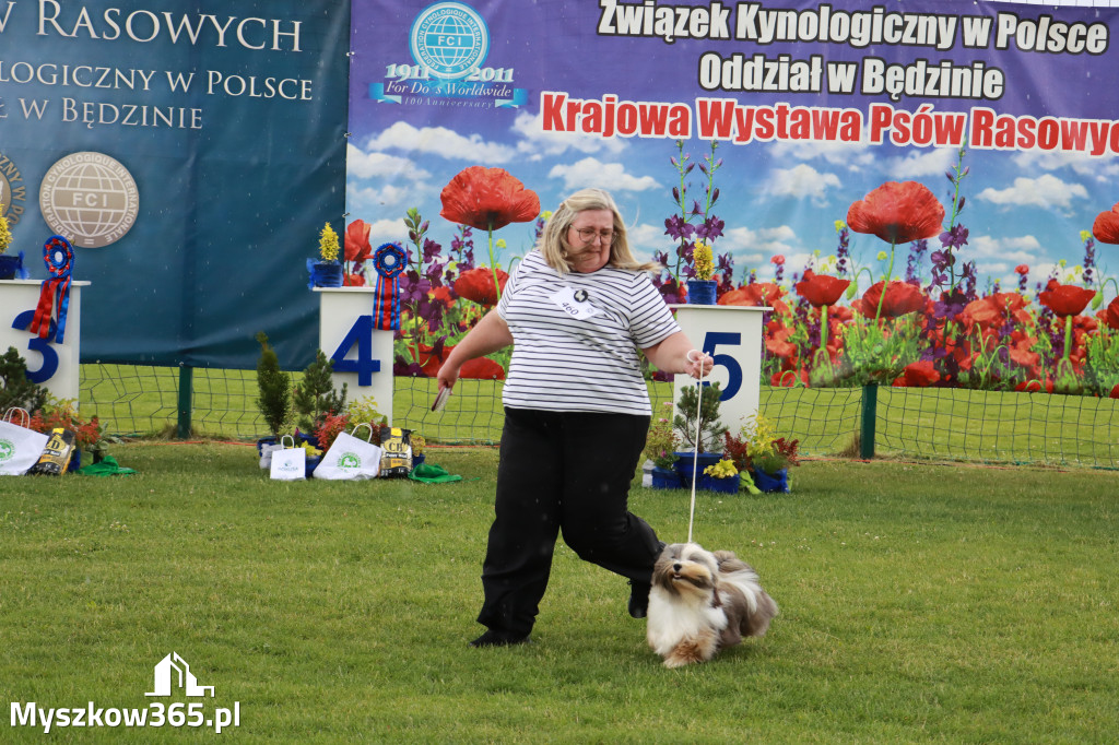Fotorelacja II: Krajowa Wystawa Psów Rasowych w Gniazdowie Gmina Koziegłowy