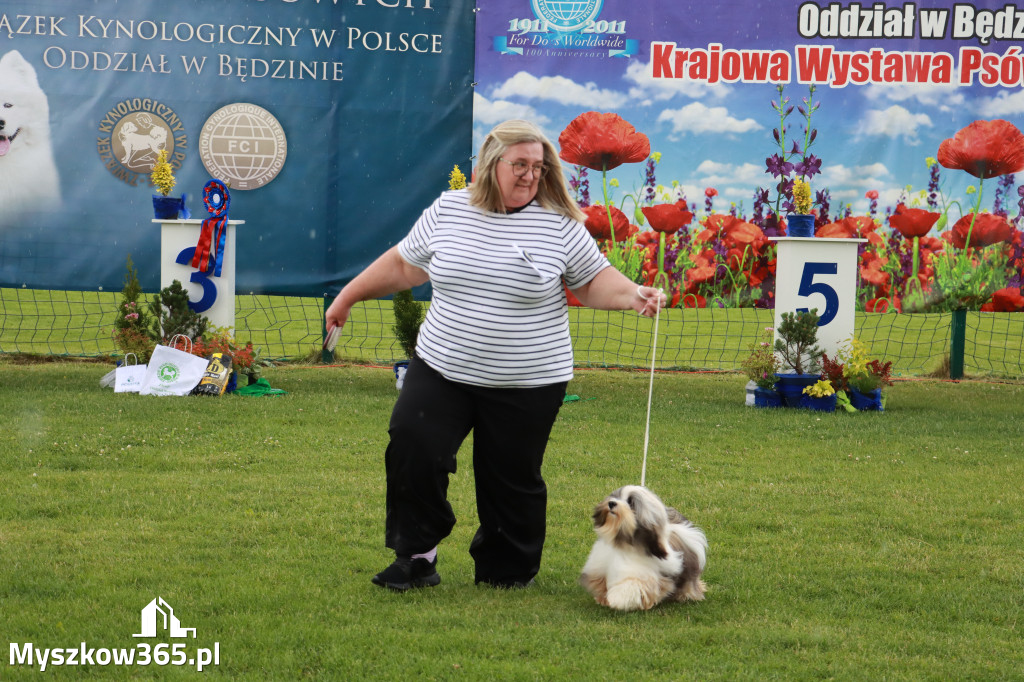 Fotorelacja II: Krajowa Wystawa Psów Rasowych w Gniazdowie Gmina Koziegłowy