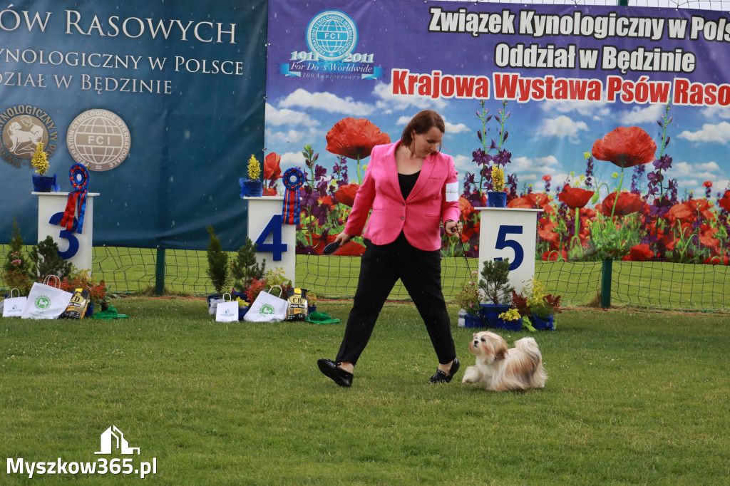 Fotorelacja II: Krajowa Wystawa Psów Rasowych w Gniazdowie Gmina Koziegłowy