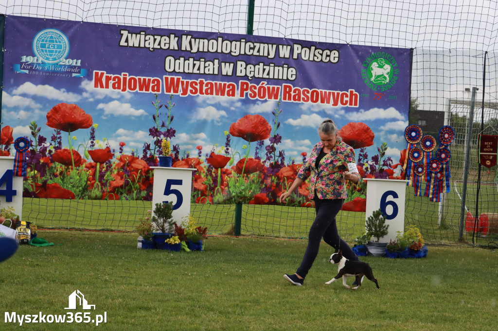 Fotorelacja II: Krajowa Wystawa Psów Rasowych w Gniazdowie Gmina Koziegłowy