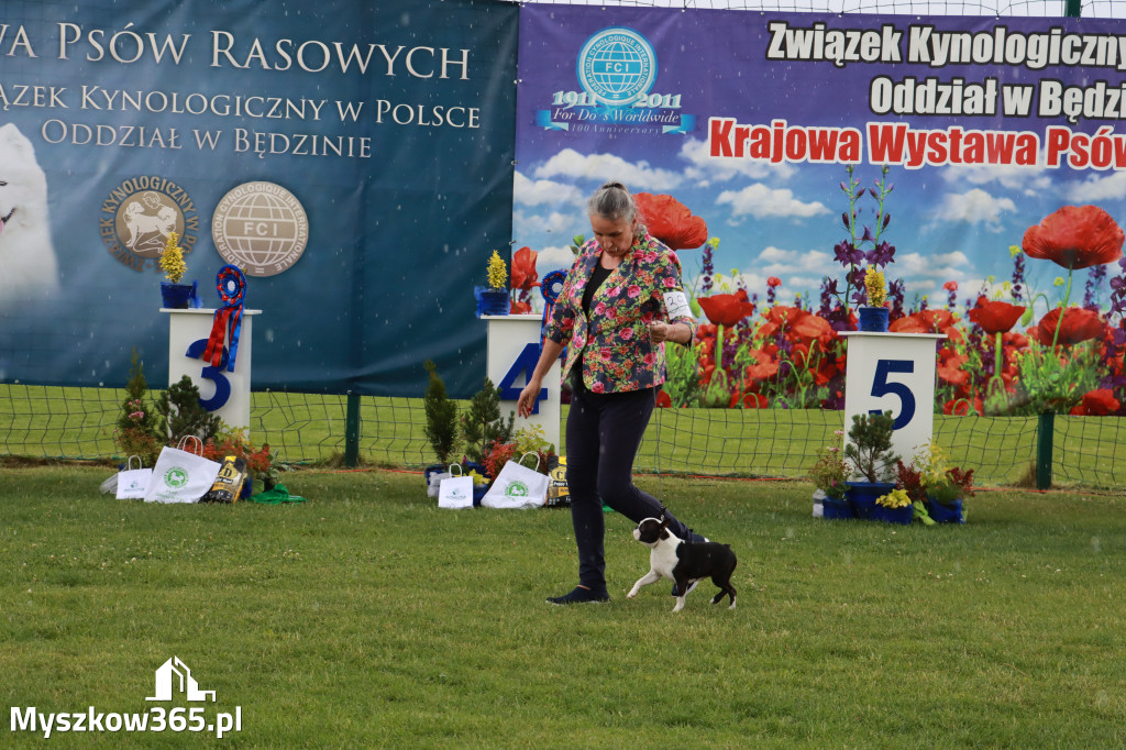Fotorelacja II: Krajowa Wystawa Psów Rasowych w Gniazdowie Gmina Koziegłowy