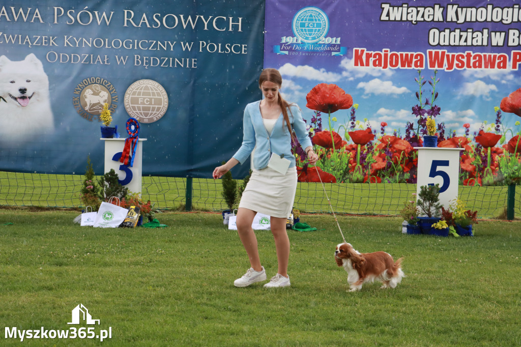 Fotorelacja II: Krajowa Wystawa Psów Rasowych w Gniazdowie Gmina Koziegłowy