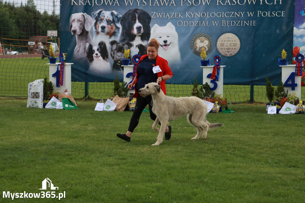 Fotorelacja II: Krajowa Wystawa Psów Rasowych w Gniazdowie Gmina Koziegłowy