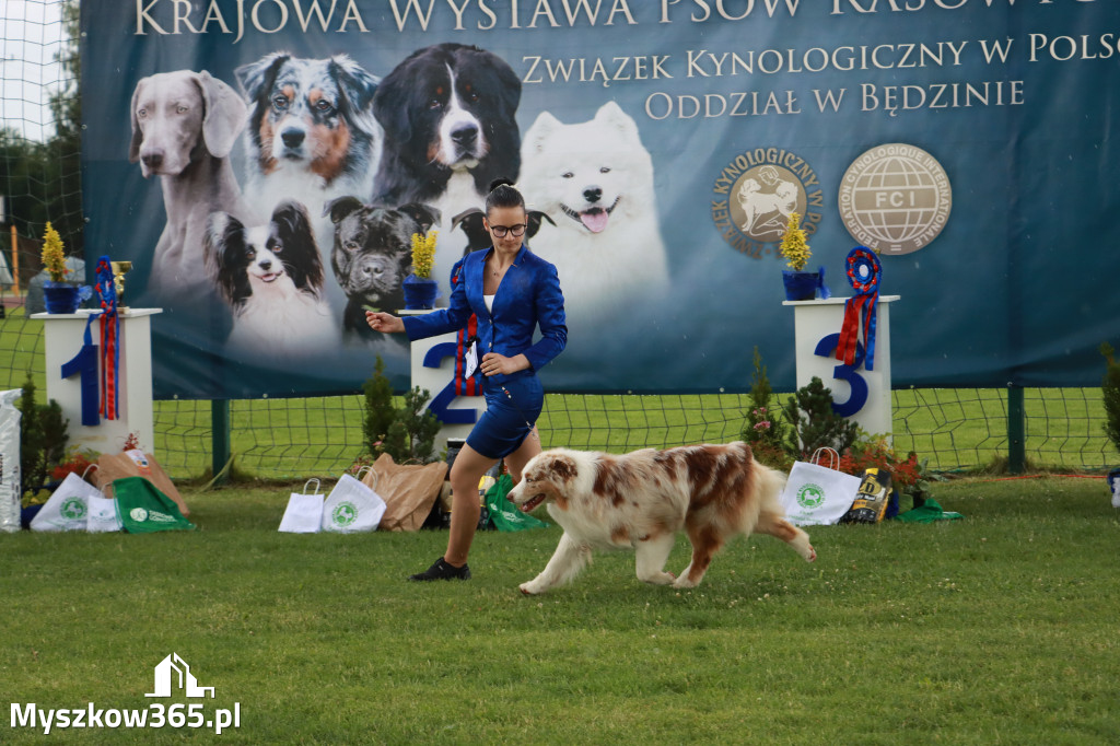 Fotorelacja II: Krajowa Wystawa Psów Rasowych w Gniazdowie Gmina Koziegłowy