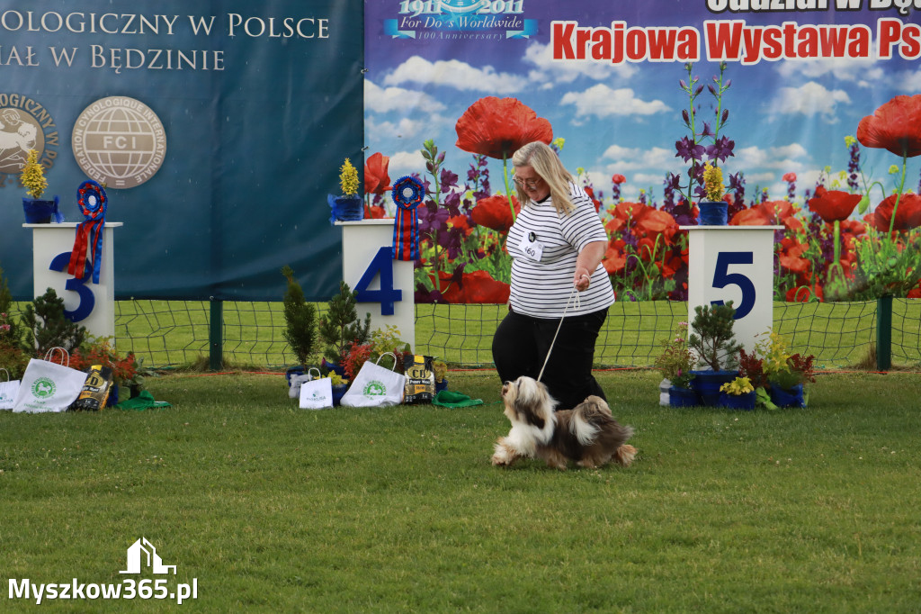 Fotorelacja II: Krajowa Wystawa Psów Rasowych w Gniazdowie Gmina Koziegłowy