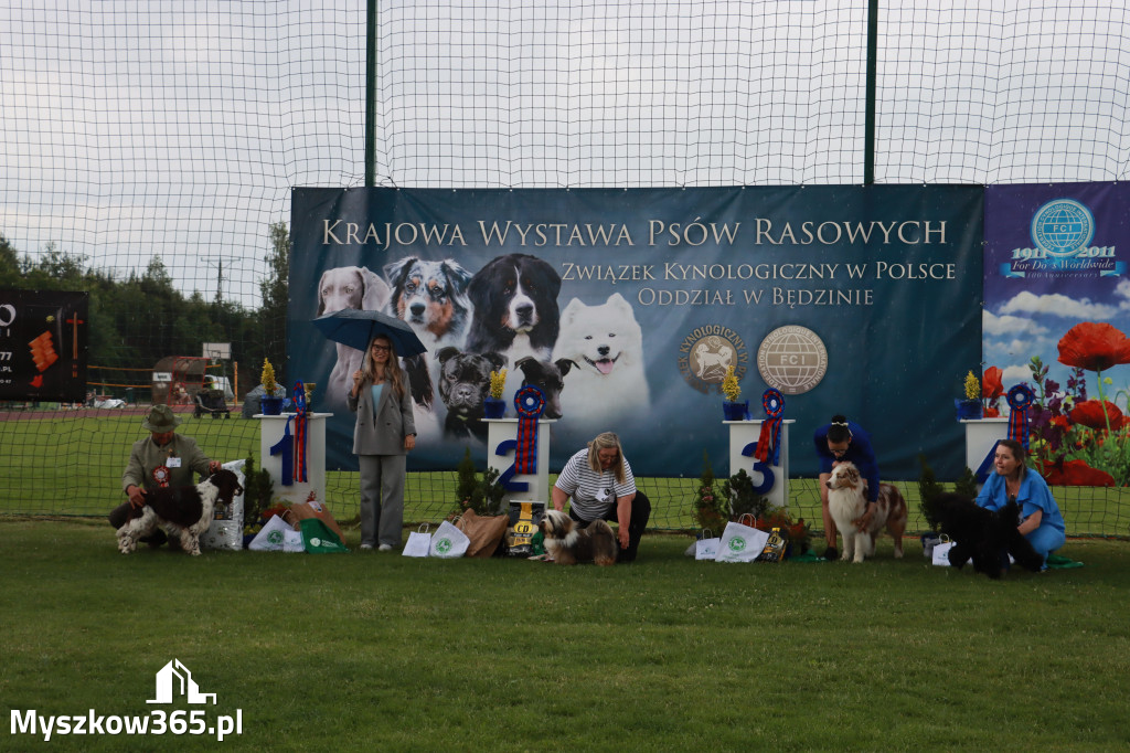 Fotorelacja II: Krajowa Wystawa Psów Rasowych w Gniazdowie Gmina Koziegłowy