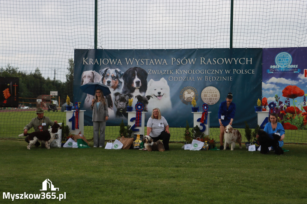 Fotorelacja II: Krajowa Wystawa Psów Rasowych w Gniazdowie Gmina Koziegłowy