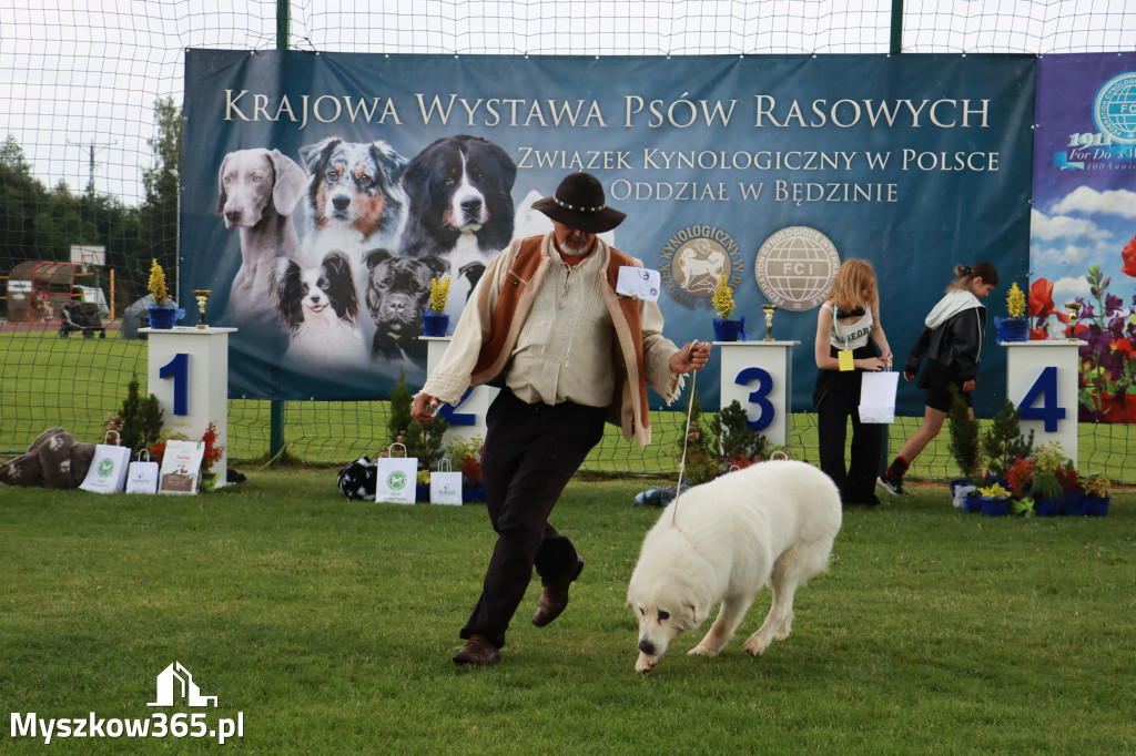 Fotorelacja II: Krajowa Wystawa Psów Rasowych w Gniazdowie Gmina Koziegłowy