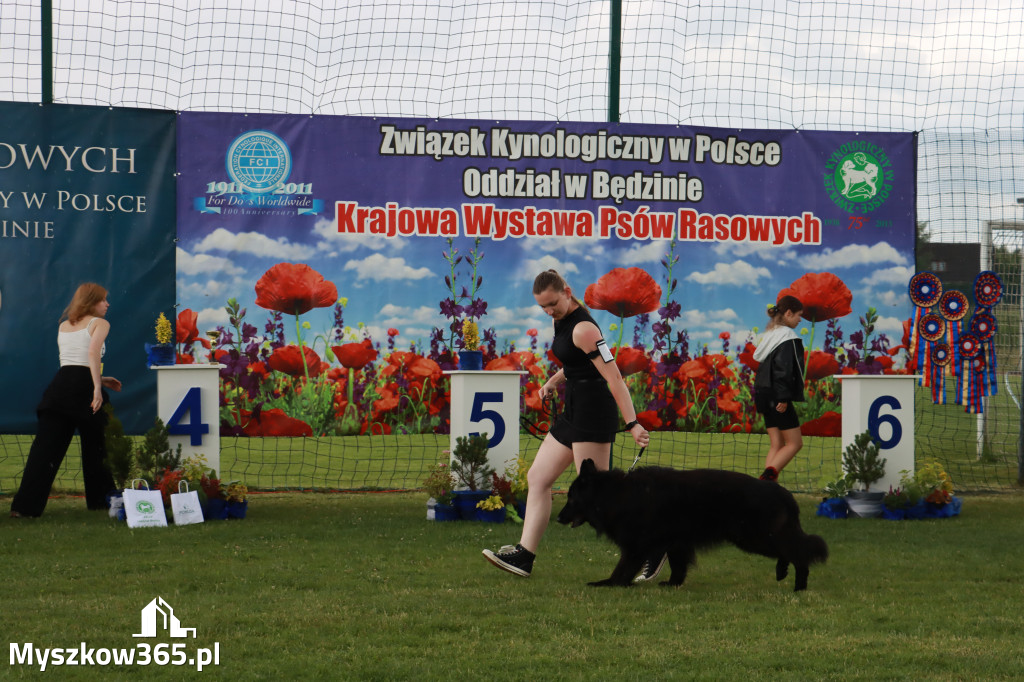 Fotorelacja II: Krajowa Wystawa Psów Rasowych w Gniazdowie Gmina Koziegłowy