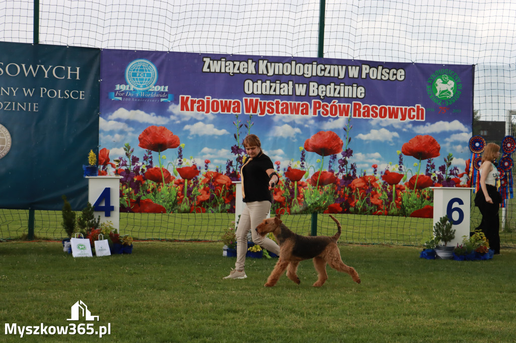 Fotorelacja II: Krajowa Wystawa Psów Rasowych w Gniazdowie Gmina Koziegłowy