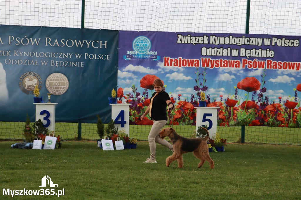 Fotorelacja II: Krajowa Wystawa Psów Rasowych w Gniazdowie Gmina Koziegłowy