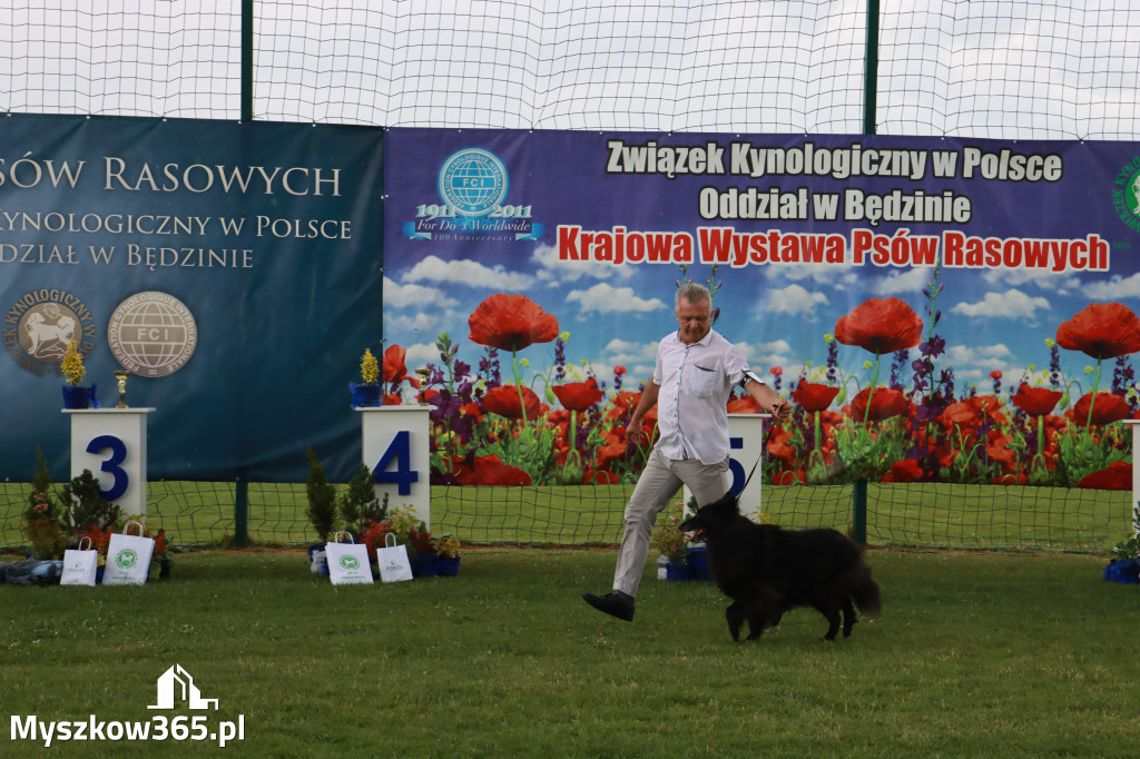 Fotorelacja II: Krajowa Wystawa Psów Rasowych w Gniazdowie Gmina Koziegłowy