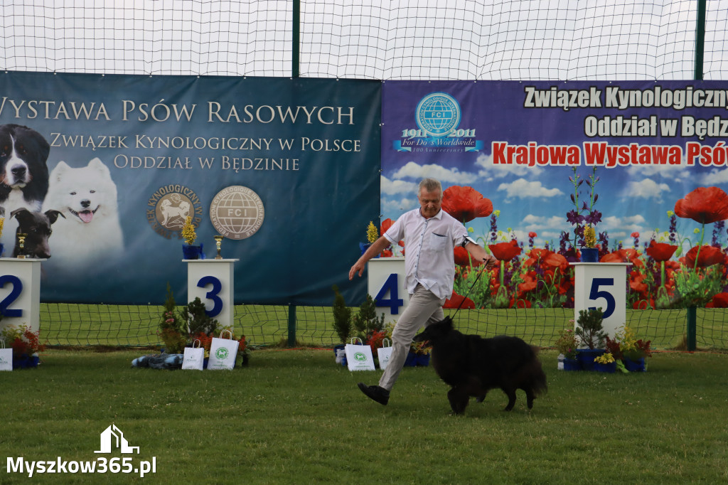 Fotorelacja II: Krajowa Wystawa Psów Rasowych w Gniazdowie Gmina Koziegłowy