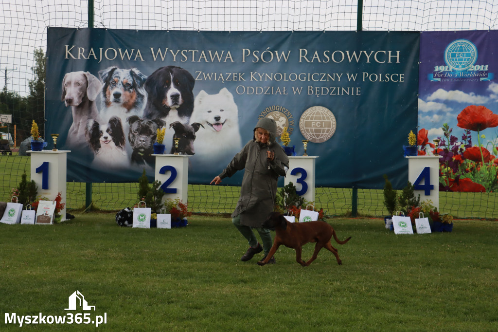 Fotorelacja II: Krajowa Wystawa Psów Rasowych w Gniazdowie Gmina Koziegłowy
