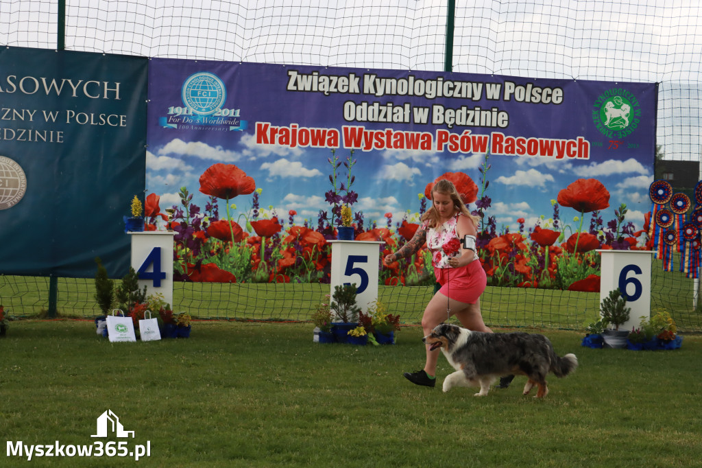 Fotorelacja II: Krajowa Wystawa Psów Rasowych w Gniazdowie Gmina Koziegłowy