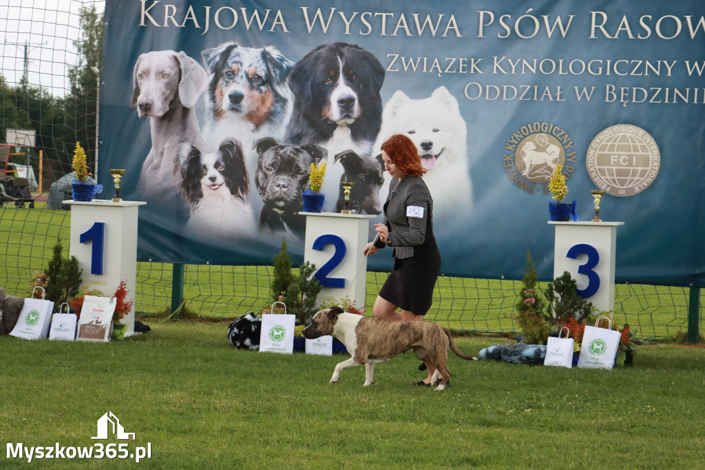 Fotorelacja II: Krajowa Wystawa Psów Rasowych w Gniazdowie Gmina Koziegłowy