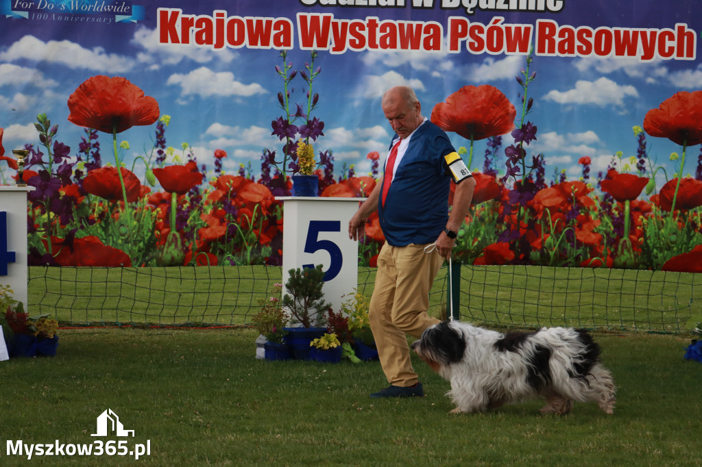 Fotorelacja II: Krajowa Wystawa Psów Rasowych w Gniazdowie Gmina Koziegłowy