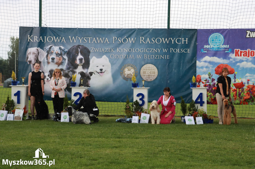 Fotorelacja II: Krajowa Wystawa Psów Rasowych w Gniazdowie Gmina Koziegłowy