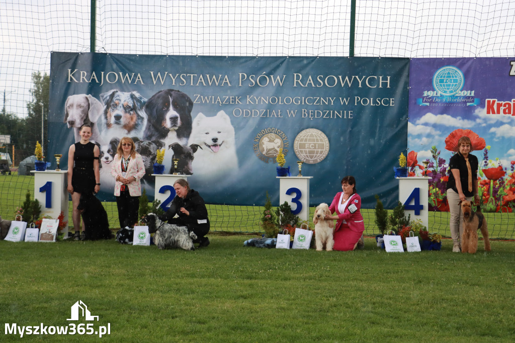 Fotorelacja II: Krajowa Wystawa Psów Rasowych w Gniazdowie Gmina Koziegłowy