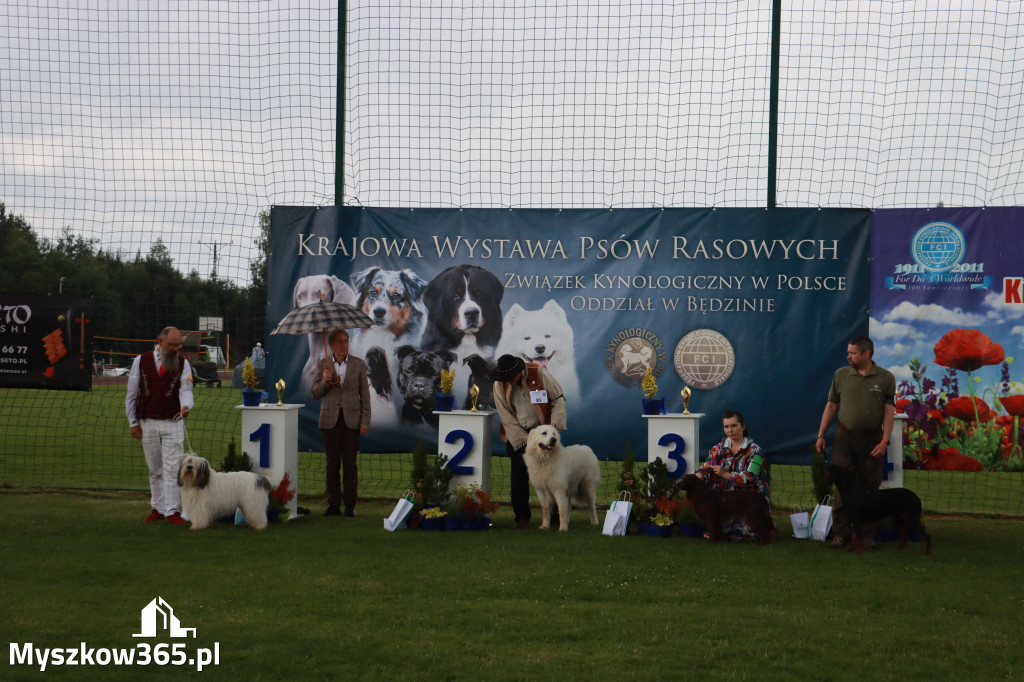 Fotorelacja II: Krajowa Wystawa Psów Rasowych w Gniazdowie Gmina Koziegłowy