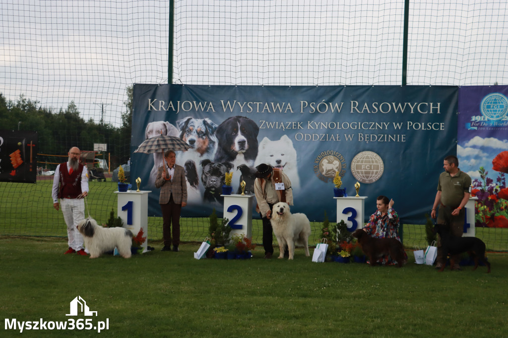 Fotorelacja II: Krajowa Wystawa Psów Rasowych w Gniazdowie Gmina Koziegłowy