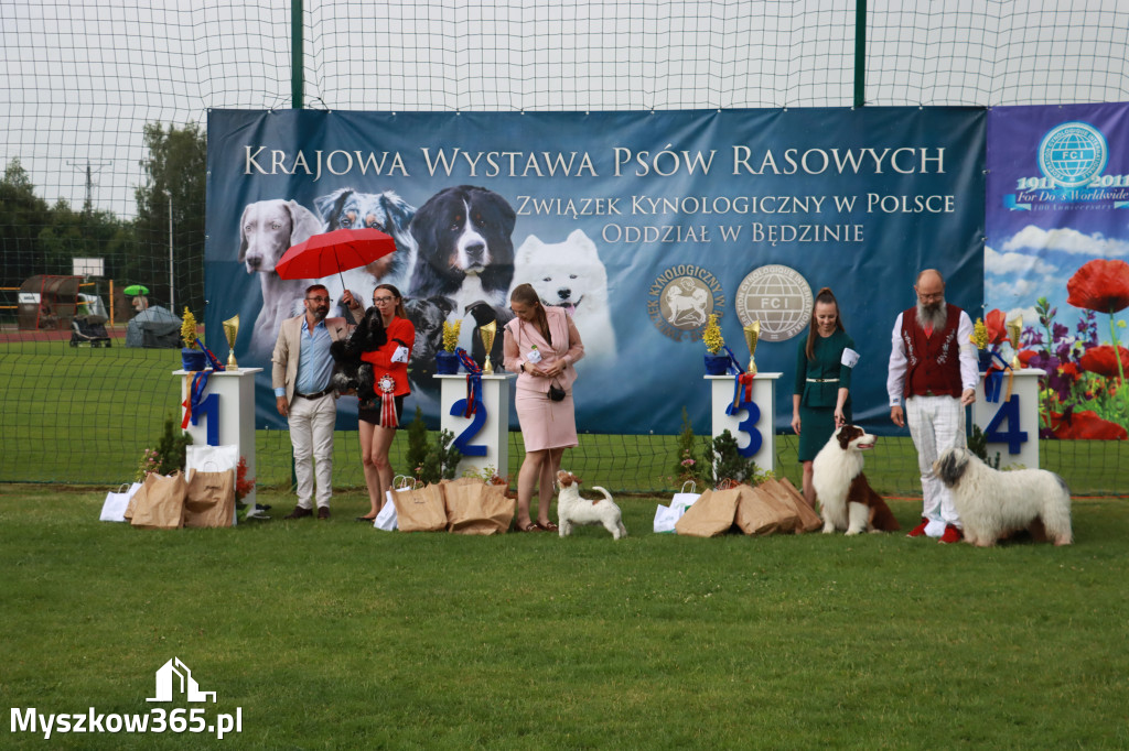 Fotorelacja II: Krajowa Wystawa Psów Rasowych w Gniazdowie Gmina Koziegłowy
