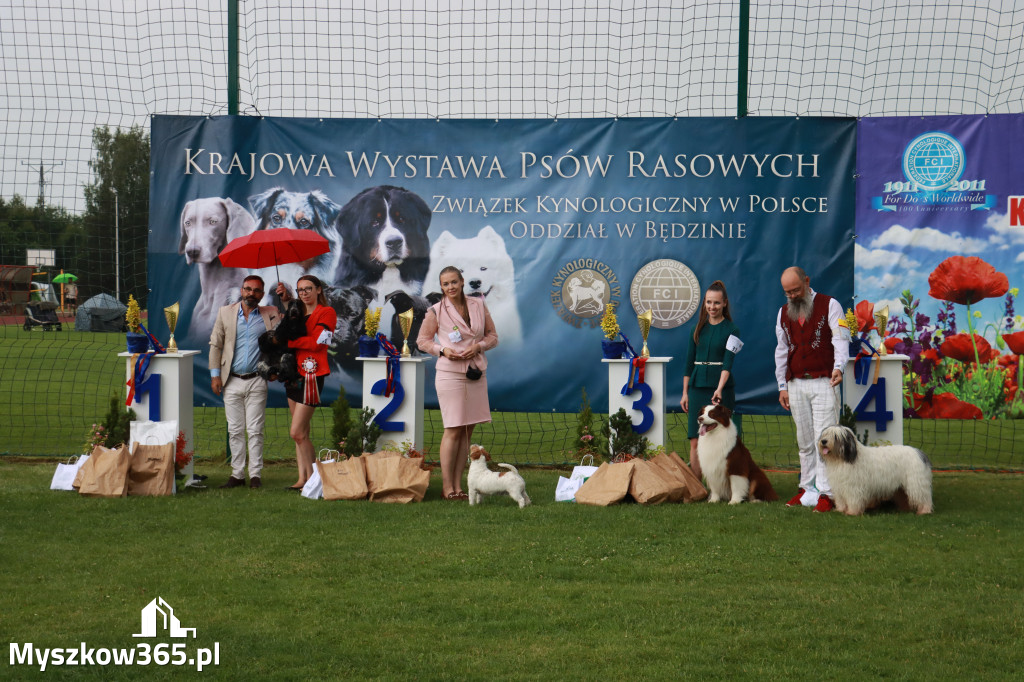Fotorelacja II: Krajowa Wystawa Psów Rasowych w Gniazdowie Gmina Koziegłowy