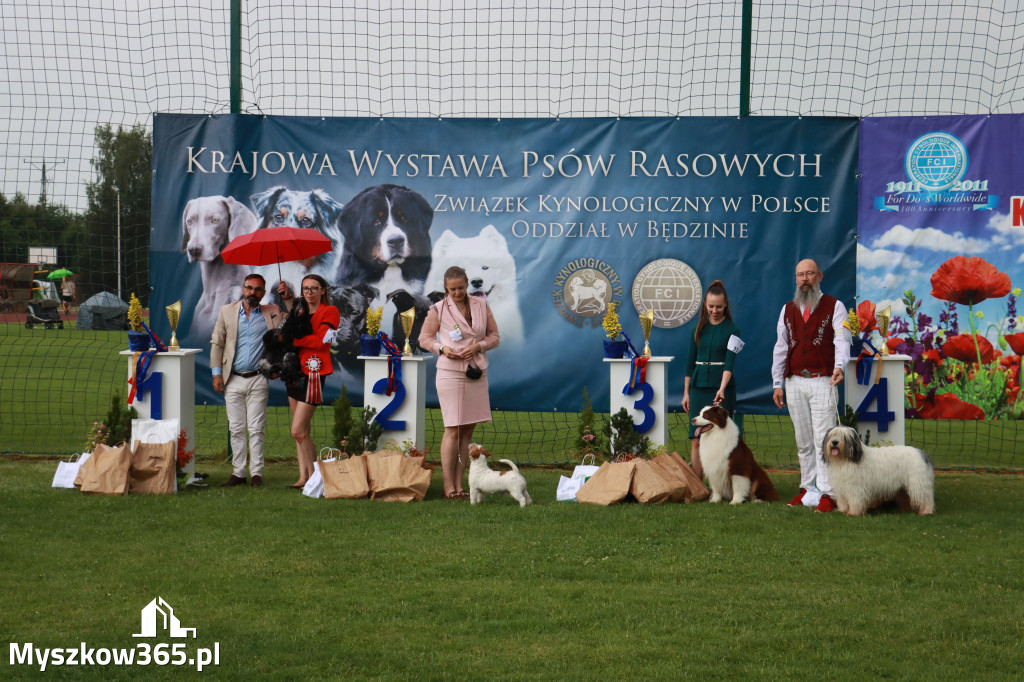 Fotorelacja II: Krajowa Wystawa Psów Rasowych w Gniazdowie Gmina Koziegłowy