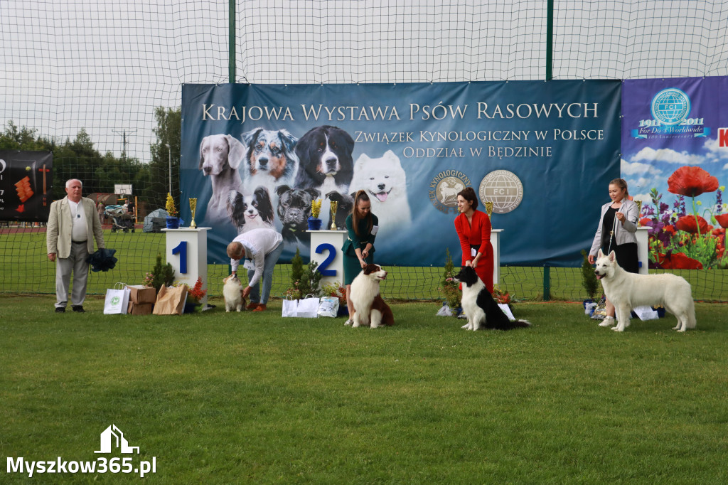 Fotorelacja II: Krajowa Wystawa Psów Rasowych w Gniazdowie Gmina Koziegłowy