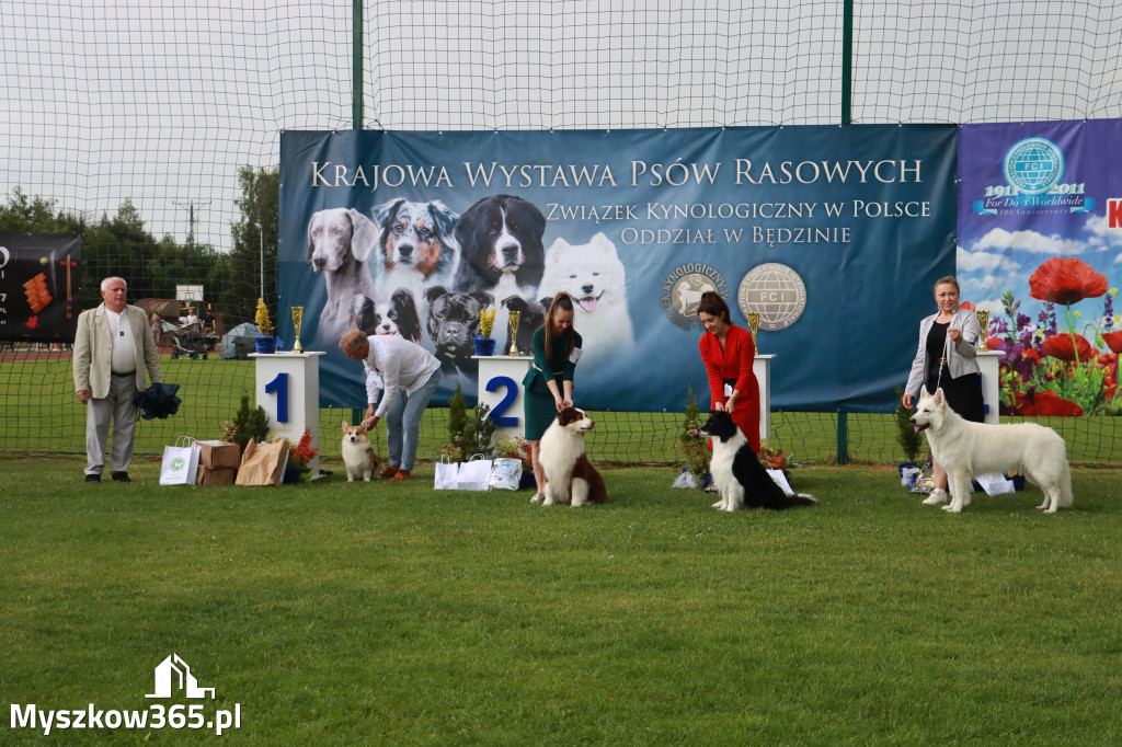 Fotorelacja II: Krajowa Wystawa Psów Rasowych w Gniazdowie Gmina Koziegłowy