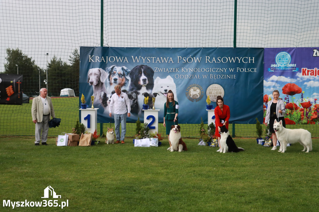 Fotorelacja II: Krajowa Wystawa Psów Rasowych w Gniazdowie Gmina Koziegłowy