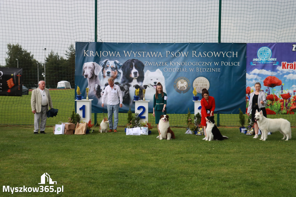 Fotorelacja II: Krajowa Wystawa Psów Rasowych w Gniazdowie Gmina Koziegłowy