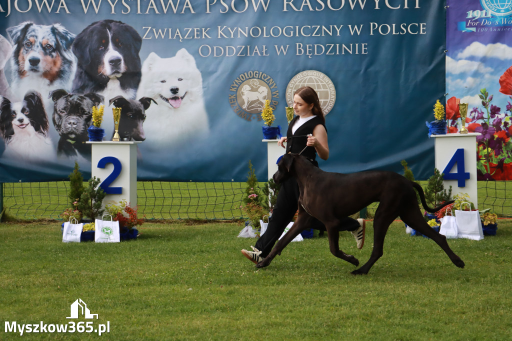 Fotorelacja II: Krajowa Wystawa Psów Rasowych w Gniazdowie Gmina Koziegłowy