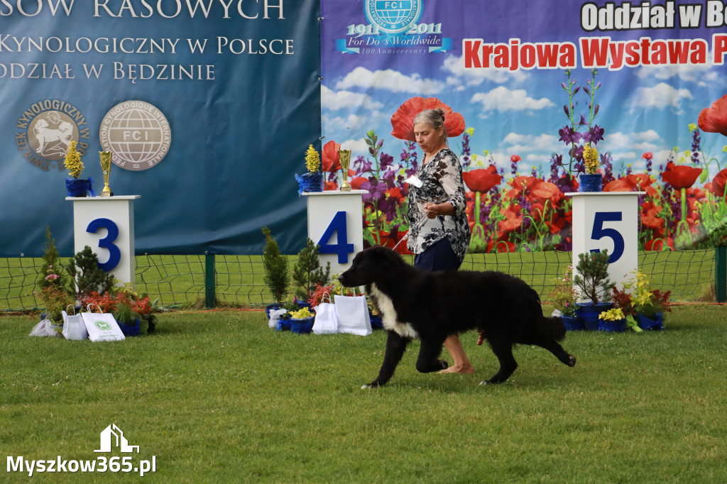 Fotorelacja II: Krajowa Wystawa Psów Rasowych w Gniazdowie Gmina Koziegłowy
