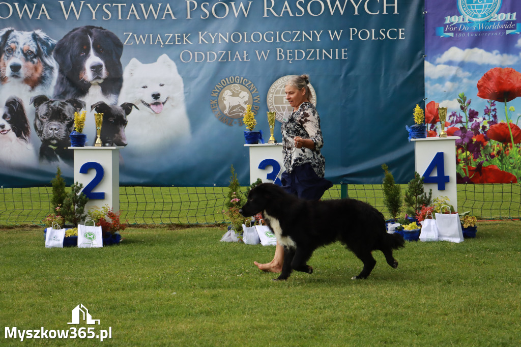 Fotorelacja II: Krajowa Wystawa Psów Rasowych w Gniazdowie Gmina Koziegłowy